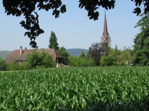 Gemeinschaftshaus Im Oberdorf Lutzelfluh Exterior foto